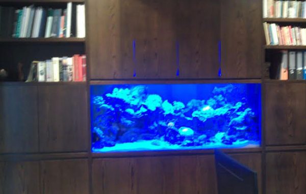 Living Area – 02